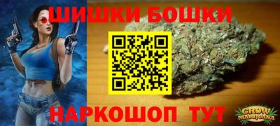 крисы Гатчина