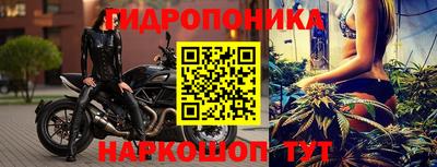 spice Гусев