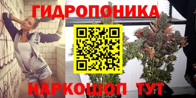 крисы Гатчина