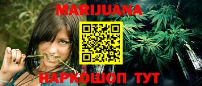 крисы Гатчина